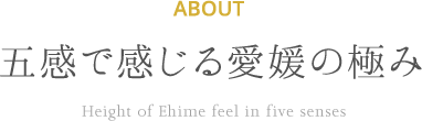 ABOUT 五感で感じる愛媛の極み Height of Ehime feel in five senses