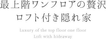 最上階ワンフロアの贅沢 ロフト付き隠れ家